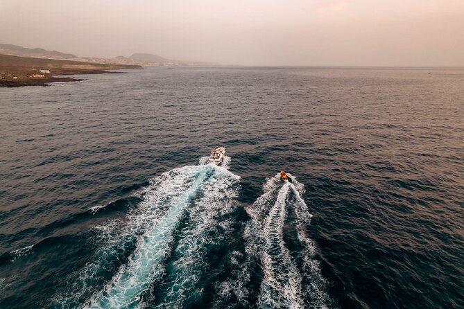 Tenerife Motor Boat Whale Watching & Snorkeling Experience - Puerto Colon: The Easy Start and Finish Base
