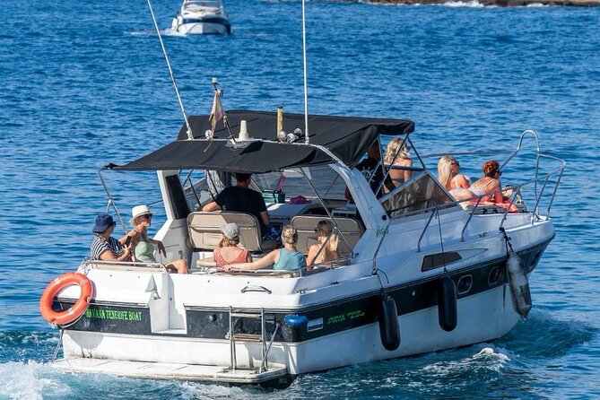 Tenerife Motor Boat Whale Watching & Snorkeling Experience - What to Pack and How to Prep for a 3-Hour Sea Day