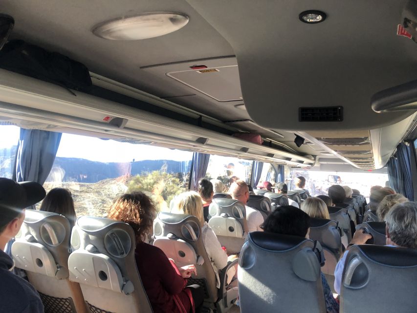 Tenerife: Mount Teide, Masca, Icod and Garachico Day Trip - Icod de los Vinos and the Dragon Tree: a surreal pause from the volcano theme