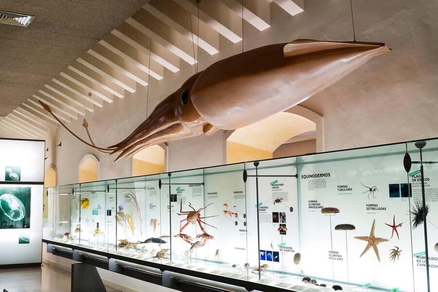 Tenerife: MUNA Museum Admission Ticket and Teide Legend Tour - MUNA in Santa Cruz: Guanche mummies in an 18th-century setting