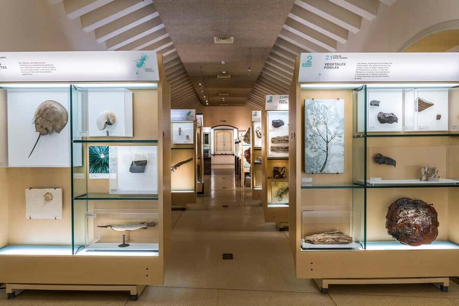 Tenerife: MUNA Museum Admission Ticket and Teide Legend Tour - Your small-group experience: pace, language, and what to expect