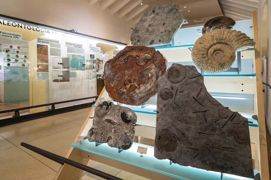 Tenerife: MUNA Museum Admission Ticket and Teide Legend Tour - Price, logistics, and the “extra costs” you should plan for