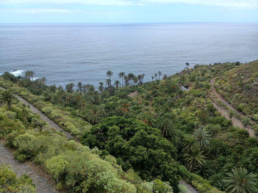 Tenerife: North Coast Landscapes Private Day Tour - Stop 1: Playa La Arena de Tacoronte, Black Sand and Easy Seaside Time