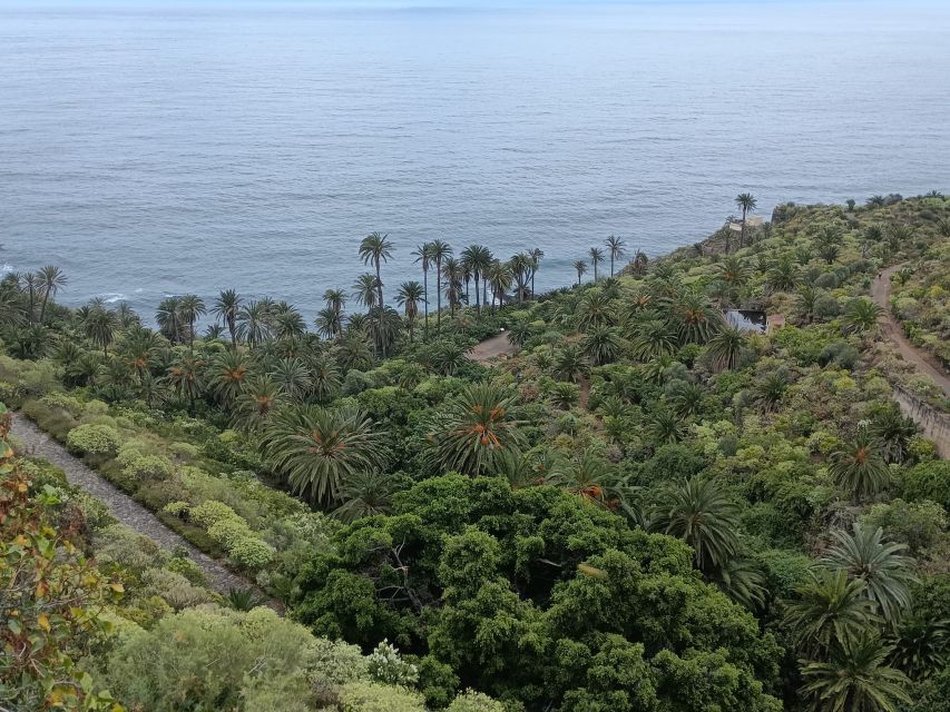 Tenerife: North Coast Landscapes Private Day Tour - Timing, Comfort, and What to Bring for a 6-Hour Loop