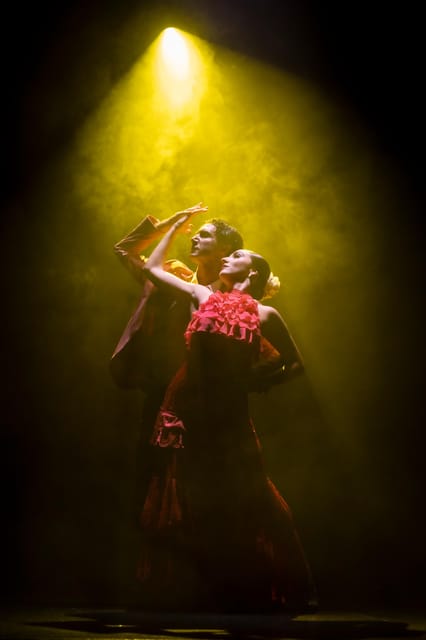 Tenerife : Olé Flamenco Show by Fran Chafino Ticket - Why This Fran Chafino Flamenco Show Feels Different Than Most