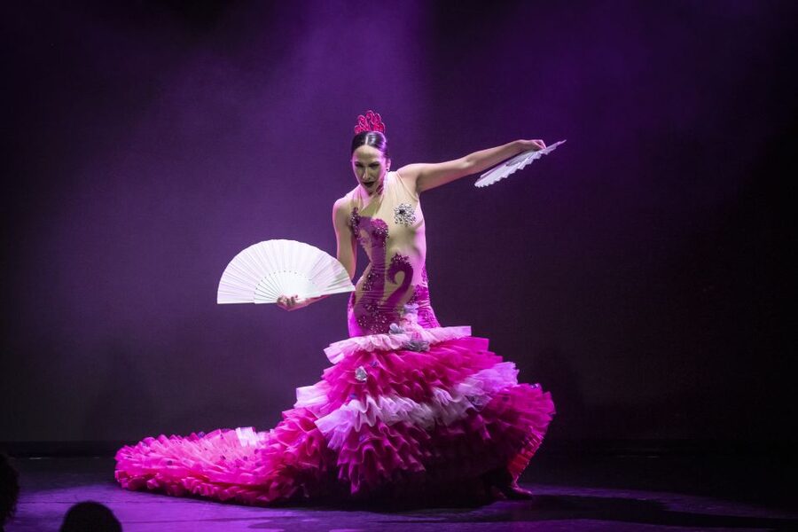 Tenerife : Olé Flamenco Show by Fran Chafino Ticket - Drinks and Small Bites: Plan for the Real Cost