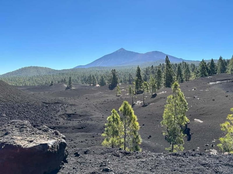 Tenerife: premium e-bike ride at Chineyro volcanic area - From Adeje Pickup to Santiago del Teide: Set-Up and Safety