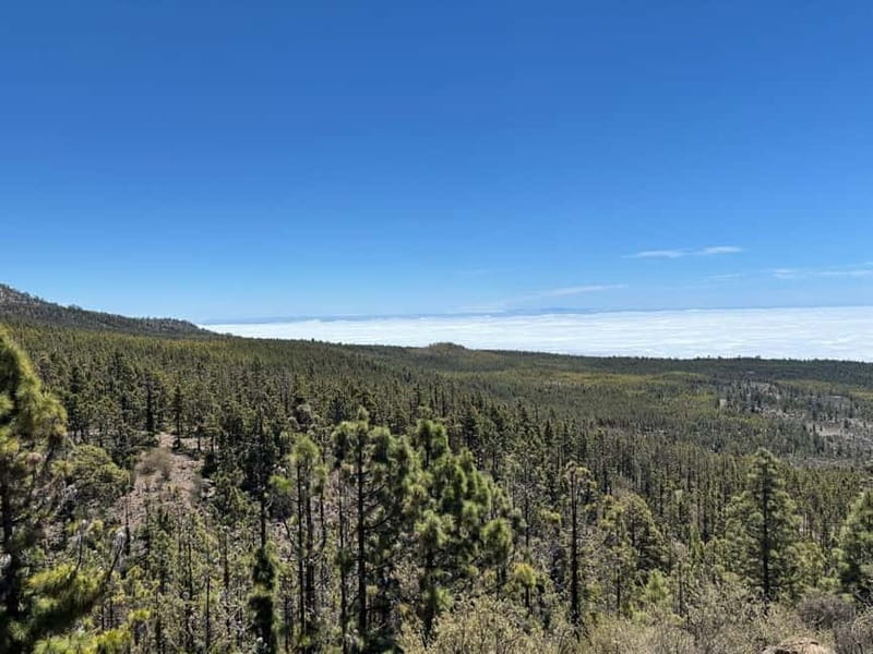 Tenerife: premium e-bike ride at Vilaflor- Lunar Landscape - Getting there: pickup, van transfer, and the start in Vilaflor