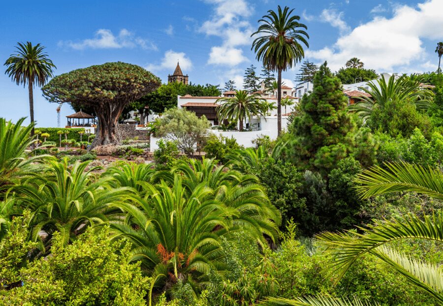 Tenerife: Private Day Tour of the Island with Hotel Pickup - San Cristóbal de la Laguna: World Heritage in Walking Distance