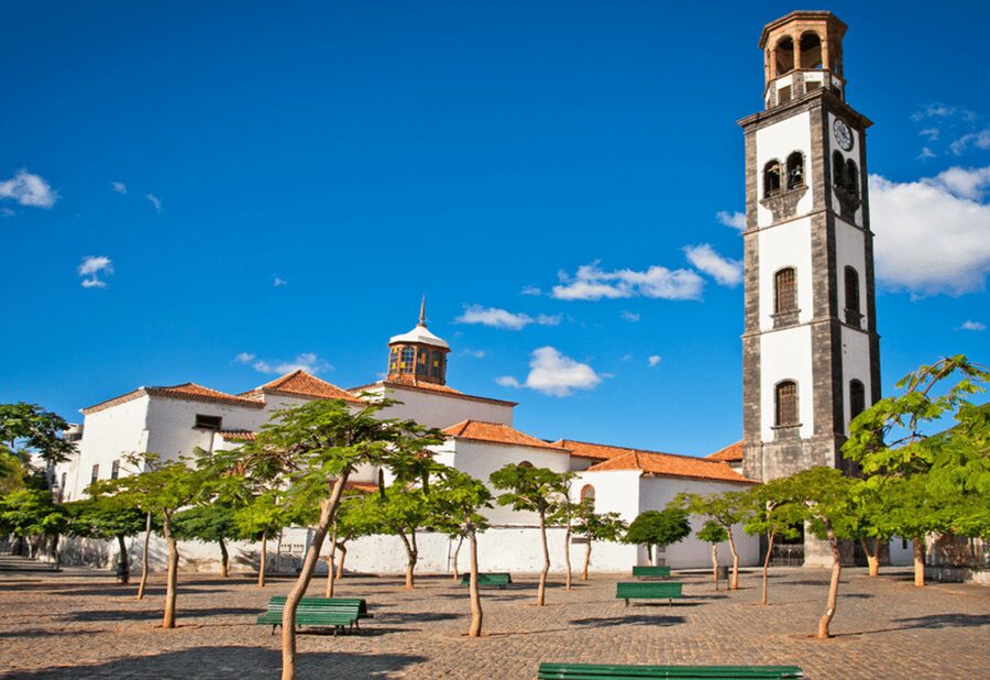 Tenerife: Private Day Tour of the Island with Hotel Pickup - Should You Book This Tenerife Private Tour?