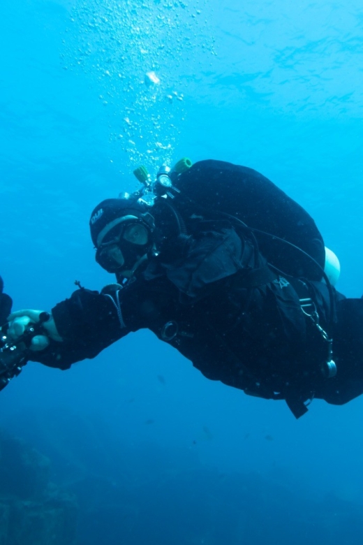 Tenerife : Private Dive for Beginners from a Boat - Tenerife Private Boat Scuba for Beginners, Without the Pressure