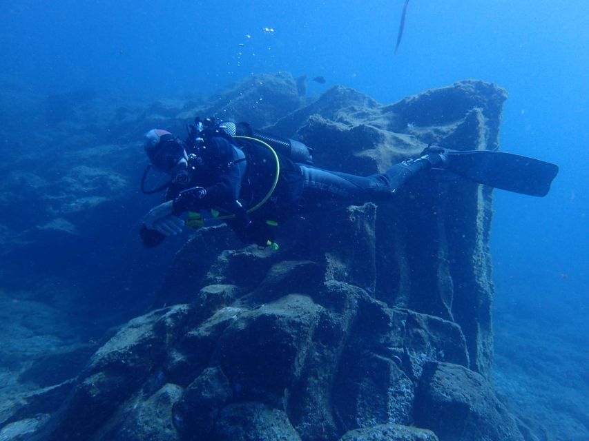 Tenerife : Private Dive for Beginners from a Boat - Price and Value: Is $118 Worth It?