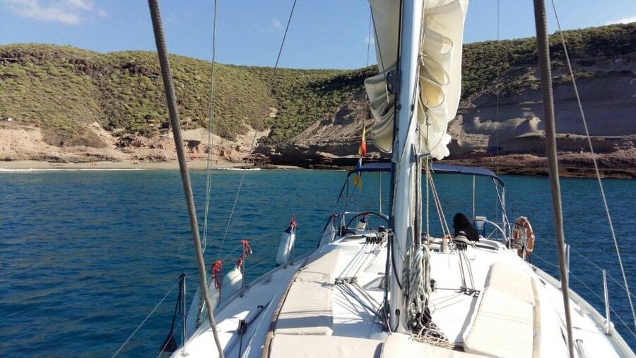Tenerife: Private or Group 3 Hour Sailing Cruise with Drinks - Cetacean Watching, Dolphins Up Close, Whales If You’re Lucky
