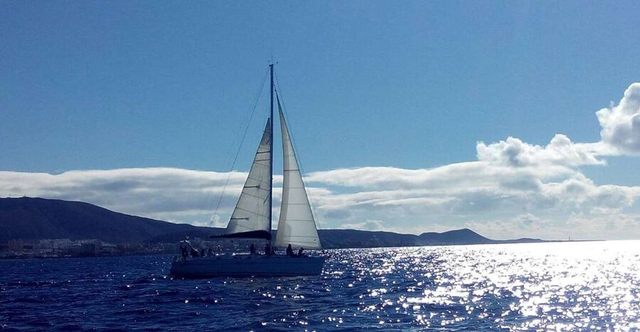 Tenerife: Private or Group 3 Hour Sailing Cruise with Drinks - Drinks on Deck: Beer, Cava, and Water You Don’t Have to Think About
