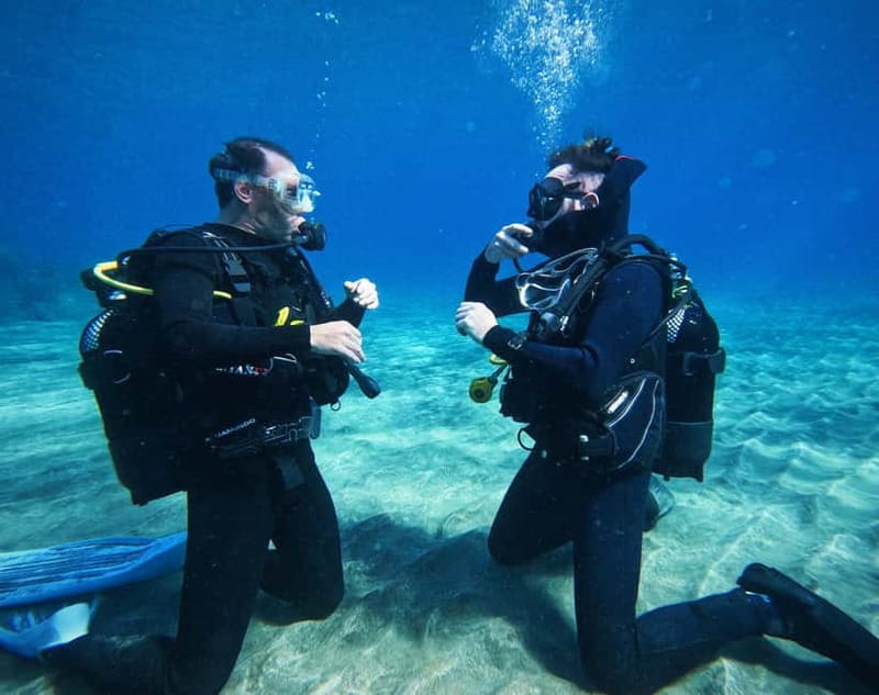 Tenerife: Private Scuba Diving–Certified Instructor & Photos - The 3-hour schedule, stop by stop