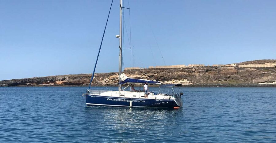 Tenerife: Private Sunset Charter with Drinks and Tapas - Whale, dolphin, and turtle chances when that option is selected