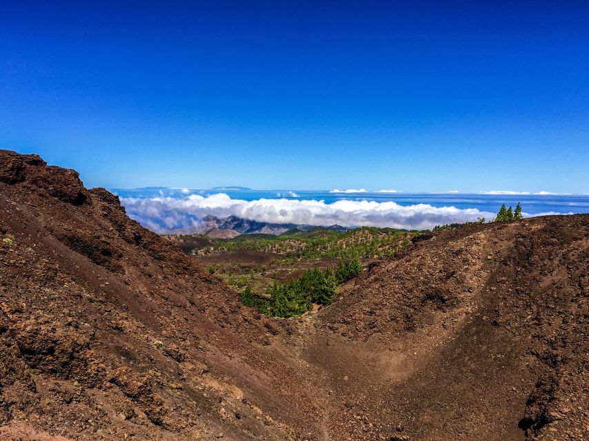 Tenerife Private Tour: Full-Day Volcanic South - Arico Nuevo: village time, volcanic colors, and guided walking