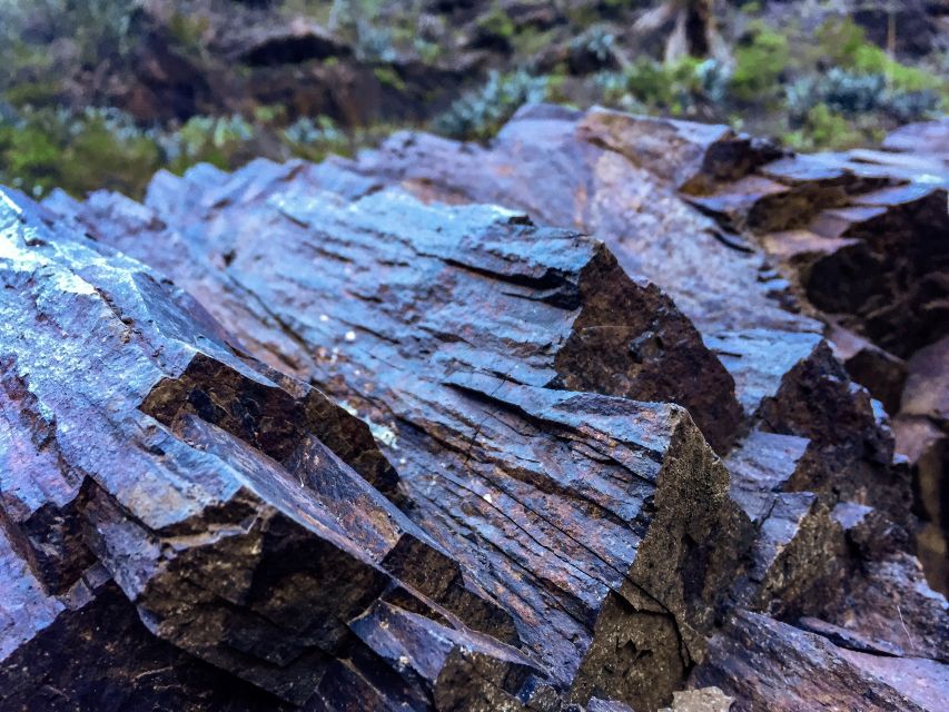 Tenerife Private Tour: Full-Day Volcanic South - Arona panoramas: more than 90 volcanic formations and endemic plants