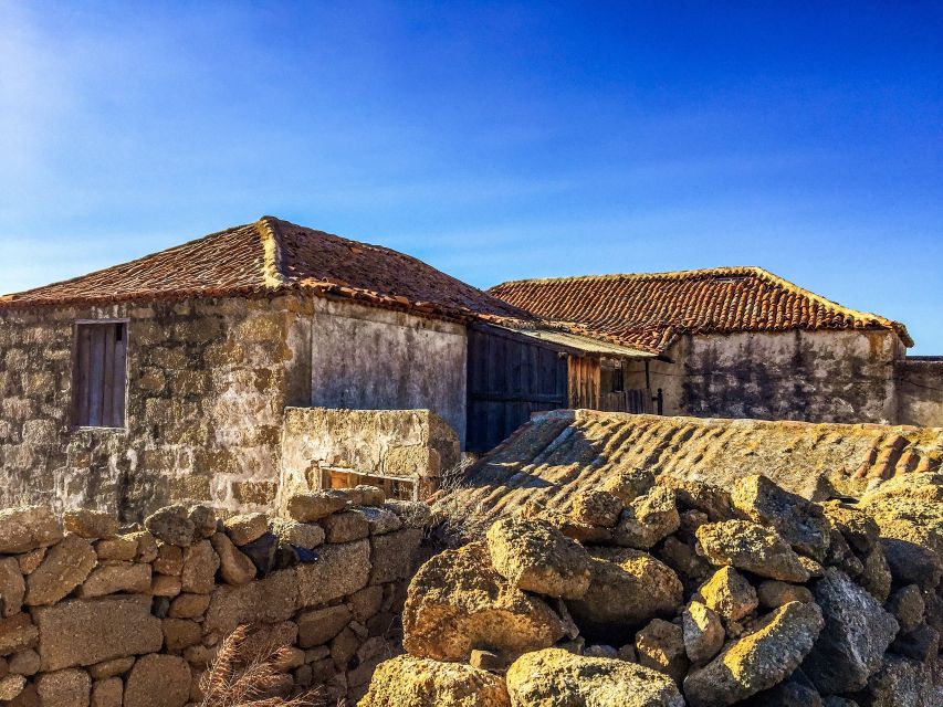 Tenerife Private Tour: Full-Day Volcanic South - Lunch in a local restaurant: fueling the last stretch