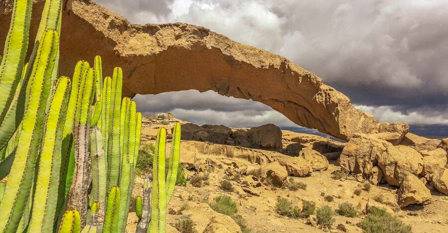 Tenerife Private Tour: Full-Day Volcanic South - The quiet advantage of a private, electric Mercedes eQV