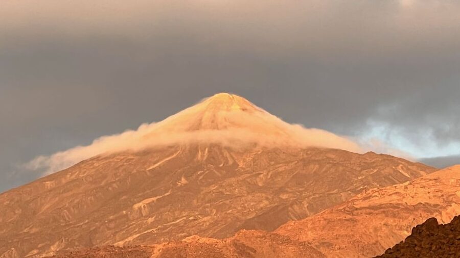 Tenerife: Private VIP Tour Teide National Park - Corona Forestal Nature Park: Pino Gordo and shade when you need it