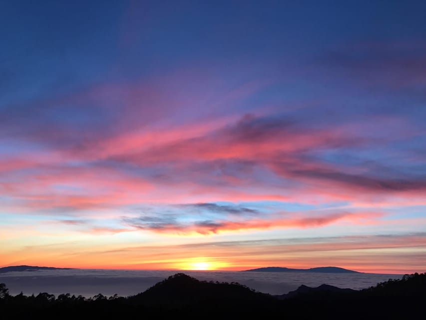 Tenerife: Private VIP Tour Teide National Park - Price and logistics: what $383 for up to 6 really buys