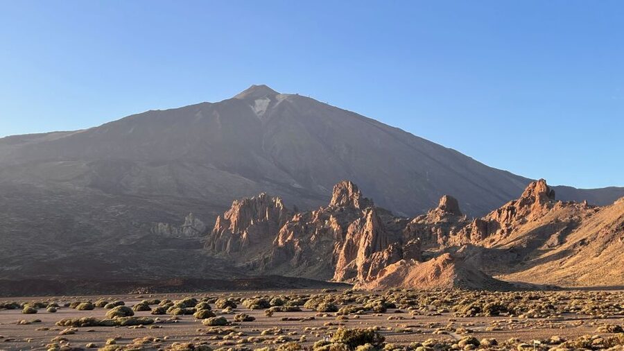 Tenerife: Private VIP Tour Teide National Park - Should you book the Tenerife Teide National Park VIP tour?