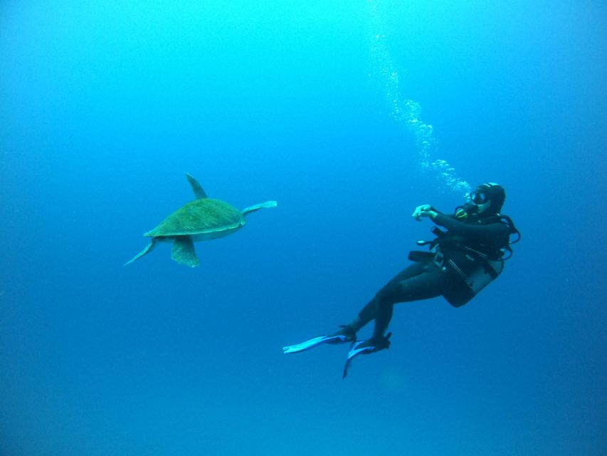 Tenerife: Puerto Colon Certified Scuba Dive by Speed Boat - The safety briefing and what you should listen for