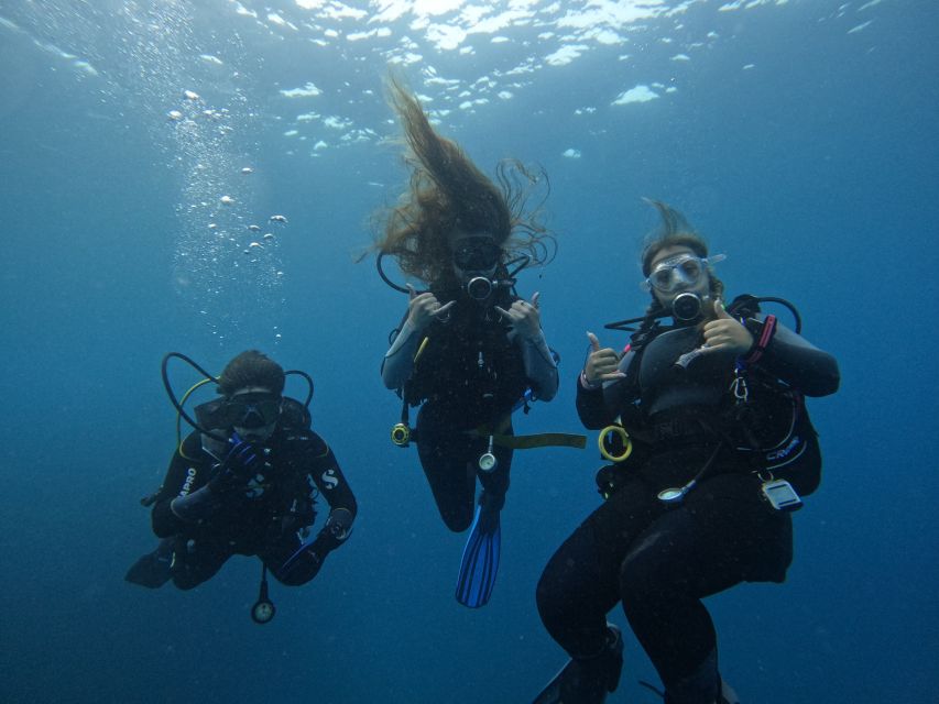 Tenerife: Puerto Colon Certified Scuba Dive by Speed Boat - Zero Gravity Tenerife check-in, paperwork, and gear fit