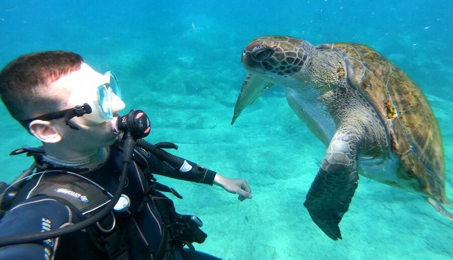 Tenerife: Puerto Colon Discover Scuba Diving Trip - Key highlights worth getting excited about