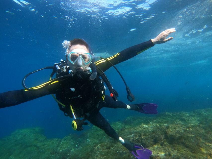 Tenerife: Puerto Colon Discover Scuba Diving Trip - Your 40-minute underwater session to 12 meters: what you’ll actually do
