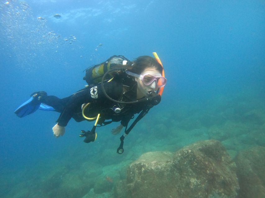 Tenerife: Puerto Colon Discover Scuba Diving Trip - Who this is best for, and who should skip it