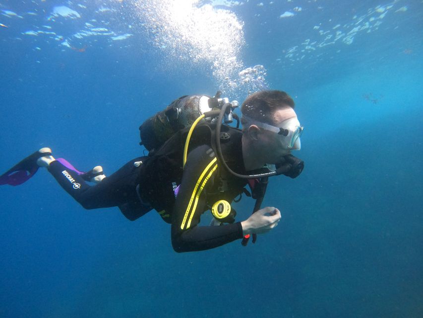 Tenerife: Puerto Colon Discover Scuba Diving Trip - Languages, meeting point, and staying organized in Puerto Colón