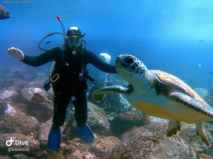 Tenerife: Puerto Colon Discover Scuba Diving Trip - Safety briefing and gear fitting: the part that really decides how good the session feels
