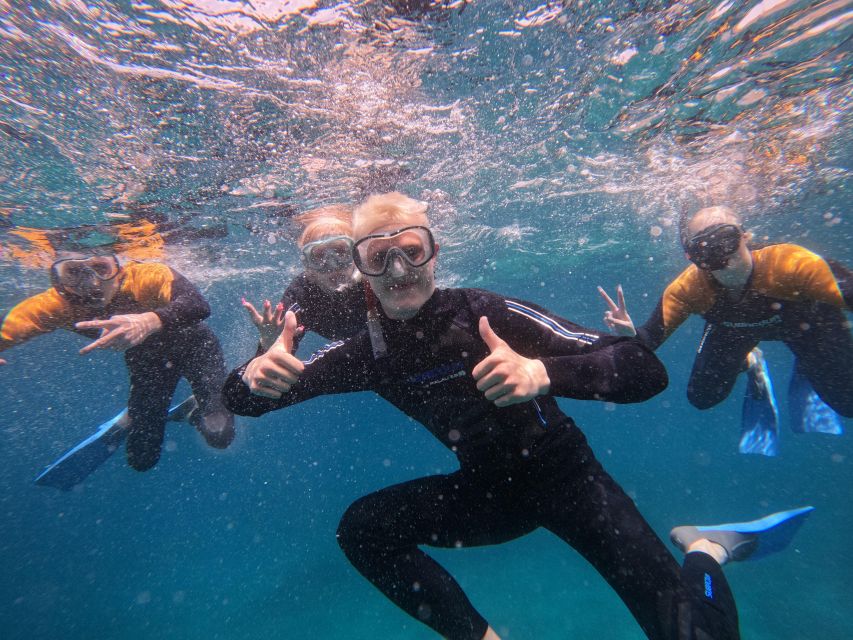 Tenerife: Puerto Colon Snorkel Safari by Speed Boat - Key things to know before you go