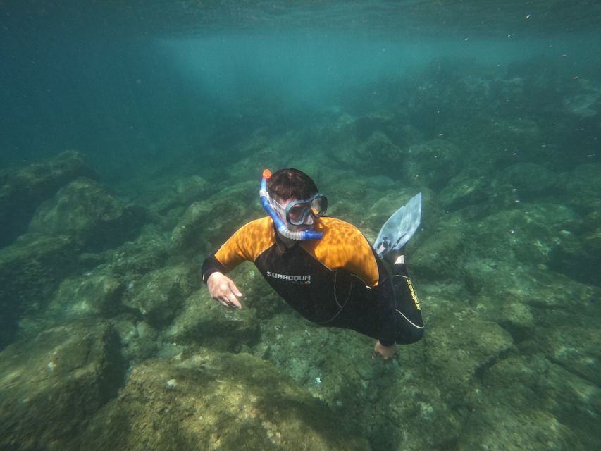 Tenerife: Puerto Colon Snorkel Safari by Speed Boat - The 15-minute speedboat ride along Tenerife’s south coast