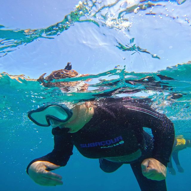Tenerife: Puerto Colon Snorkel Safari by Speed Boat - Snorkeling in the secluded bay: what 50 minutes feels like