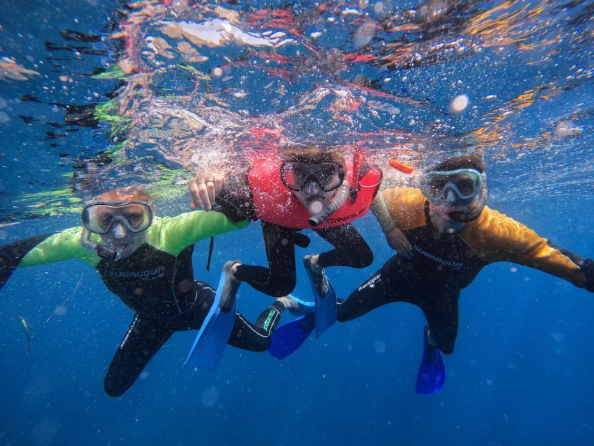 Tenerife: Puerto Colon Snorkel Safari by Speed Boat - When weather changes the plan, and why that is a good sign