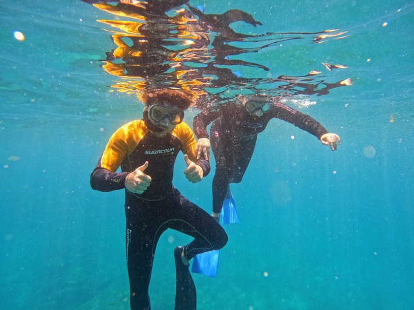 Tenerife: Puerto Colon Snorkel Safari by Speed Boat - The safety briefing, and why the guides matter