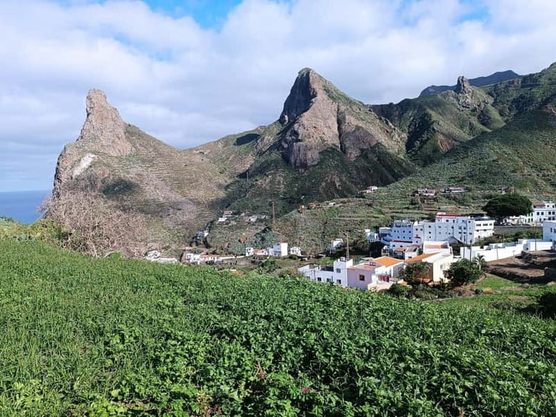 Tenerife-Puerto Cruz: Avatar Hiking, Punta Hidalgo +Cocktail - Key Things to Know Before You Go