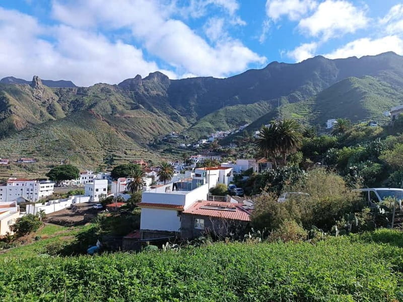 Tenerife-Puerto Cruz: Avatar Hiking, Punta Hidalgo +Cocktail - Who This Tour Is Best For (And Who Might Want Something Else)