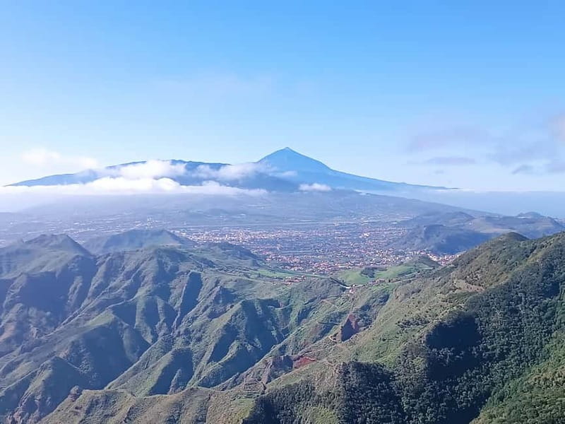 Tenerife-Puerto Cruz: Avatar Hiking, Punta Hidalgo +Cocktail - Market Morning in San Cristobal de La Laguna, Then Up Toward the Views