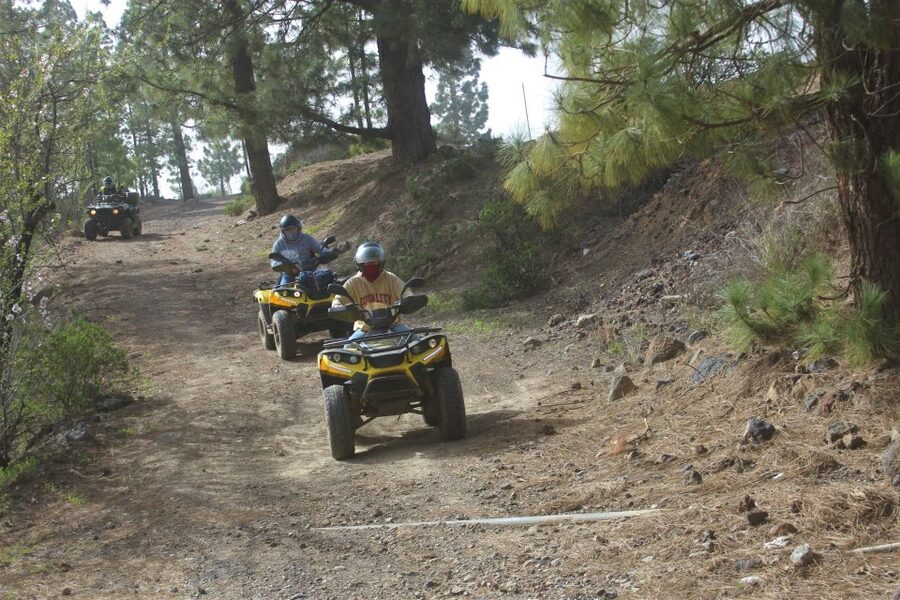 Tenerife: Quad Bike Off-Road Adventure - Booking Advice: When I Think You Should Say Yes