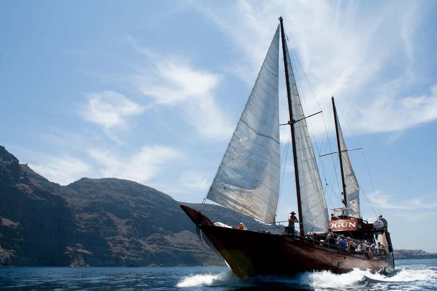 Tenerife:Respectful Whale Watching, Pirate Ship, & Swim - How to Spot Pilot Whales and Dolphins Without Getting Frustrated