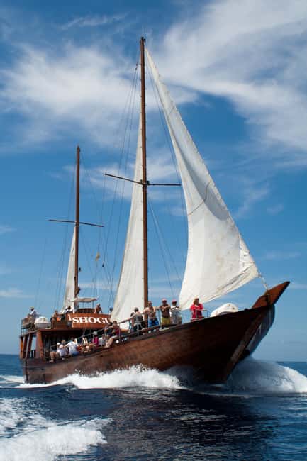 Tenerife:Respectful Whale Watching, Pirate Ship, & Swim - Drinks on Board and How to Keep the Day Budget-Friendly