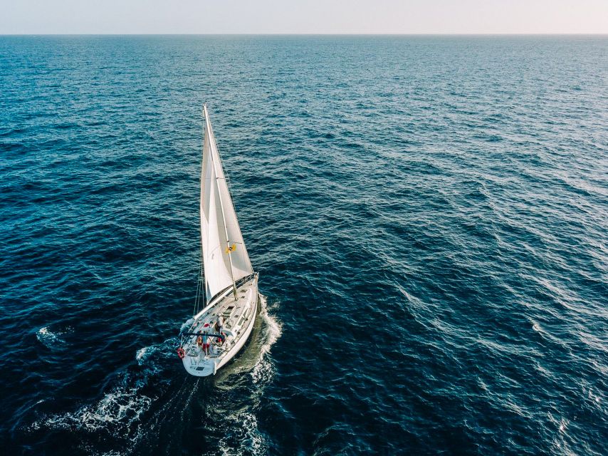 Tenerife: Sailboat Tour with Food and Snorkeling - Costa Adeje wildlife search: whales, dolphins, turtles, seabirds