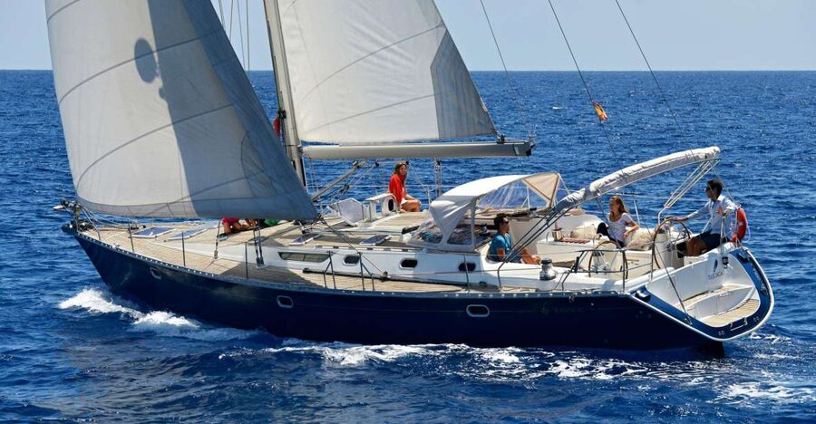 Tenerife: Sailing Excursion with Whale and Dolphin Watching - Key things to know before you go