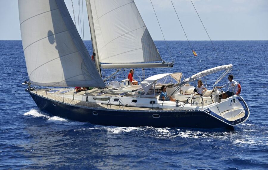 Tenerife: Sailing Excursion with Whale and Dolphin Watching - A 3-hour sailing wildlife hunt on Tenerife’s south coast