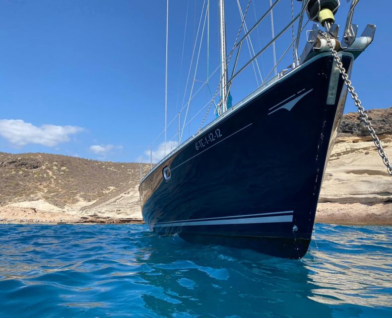 Tenerife: Sailing Excursion with Whale and Dolphin Watching - Group size and comfort, why this trip feels different when it is not packed