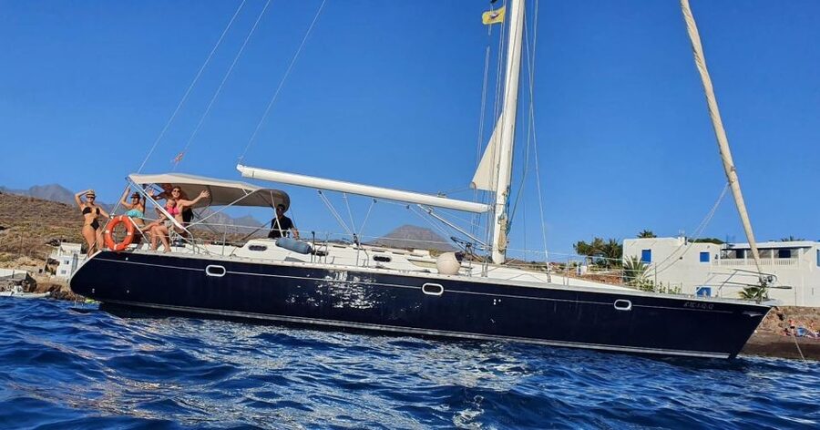 Tenerife: Sailing Excursion with Whale and Dolphin Watching - Who should book this and who might want to think twice